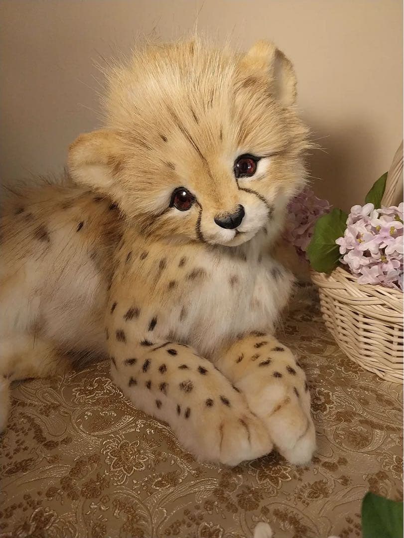 海外作家様作　チーターの子供　アートドール 最終価格】海外作家様作 アートドール ライオンの子供 - メルカリ