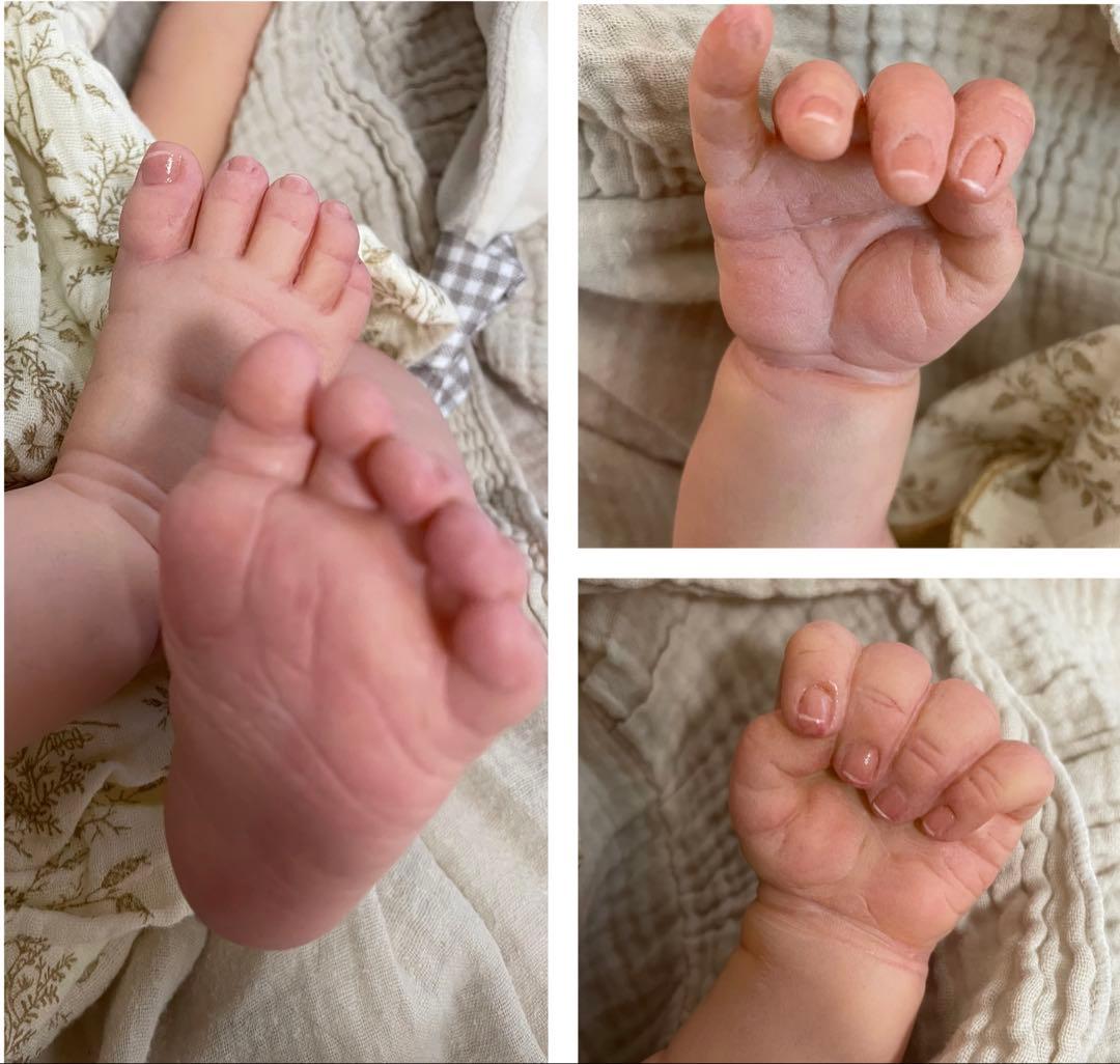 リボーンドール★Erica★246/1550限定 正規品、証明書付き