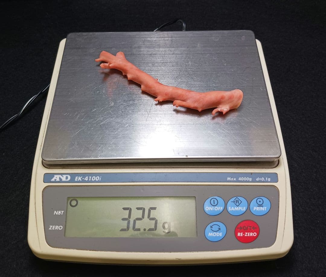 Y2678-4 国産桃色珊瑚原木 珊瑚 総重量32.5g 太軸 - メルカリ