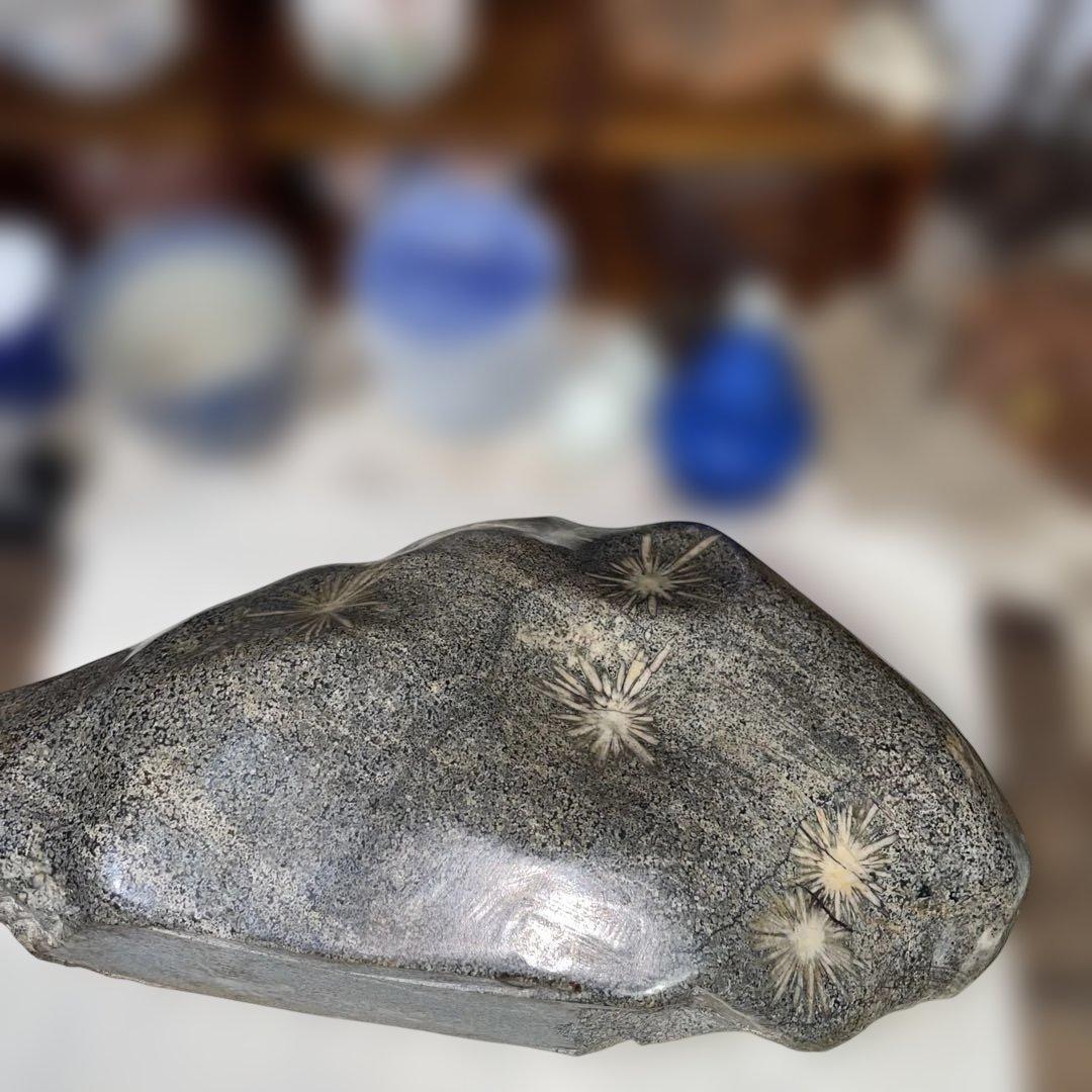 菊花石 8.6kg 鑑賞石 鉱物