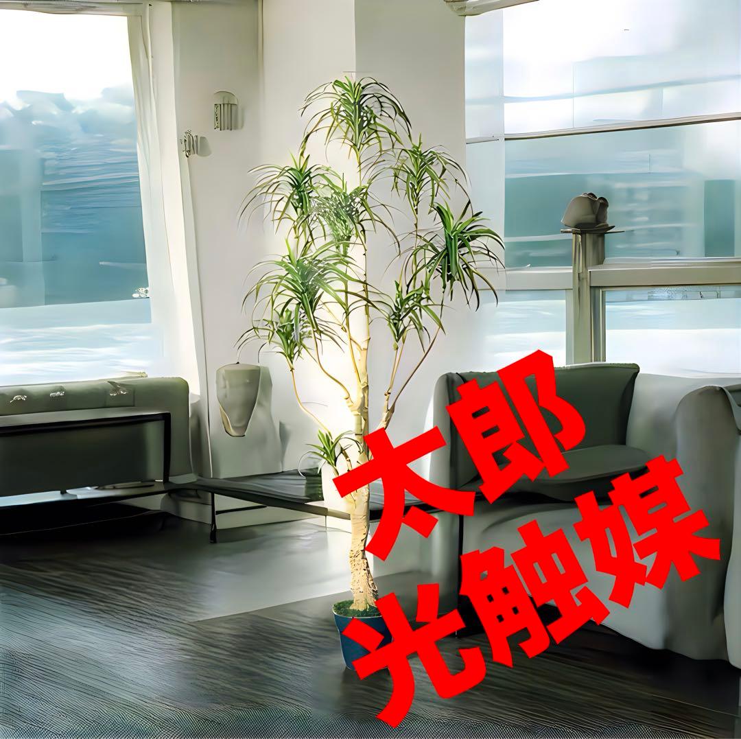光触媒　人工観葉植物　ウォールグリーン　フェイクグリーン　ユッカツリー1700 神戸花物語 フェイクグリーン ユッカ 観葉植物 人工観葉 大型 光触媒