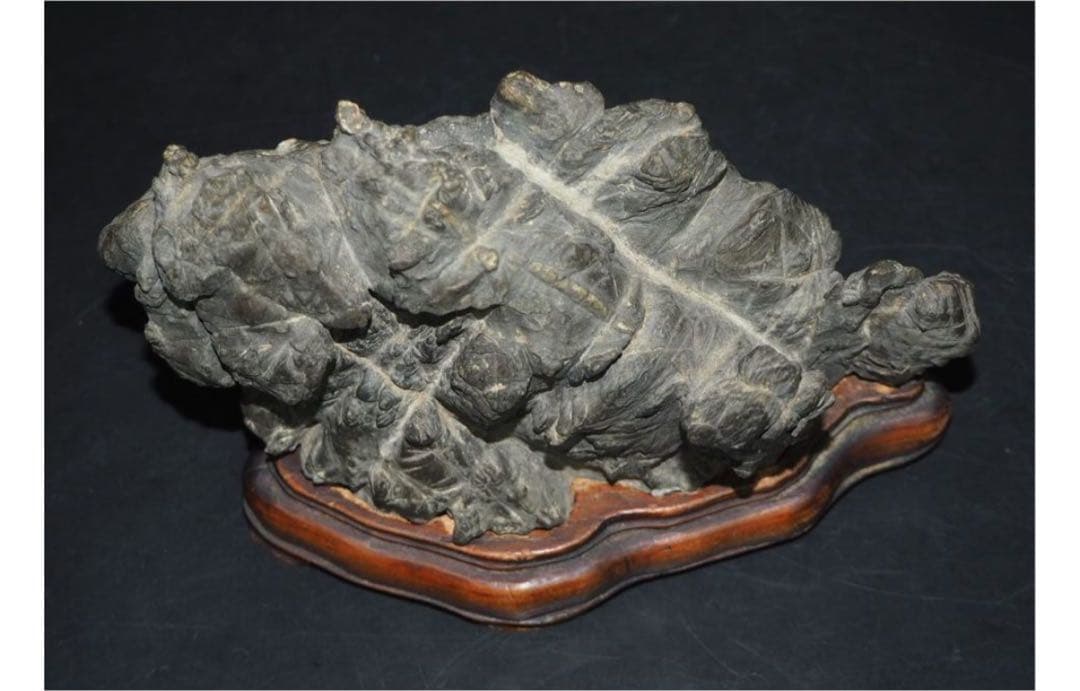 送料無料 鑑賞石愛好家蒐集品 山水石 鑑賞石 天然石 盆石 奇石 - メルカリ