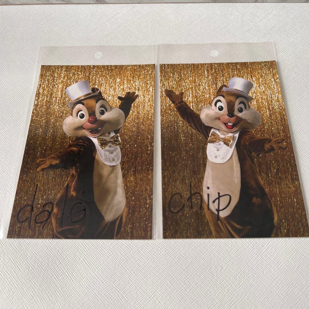 東京ディズニーランド キャラクター 実写 ポストカード ワンマンズ