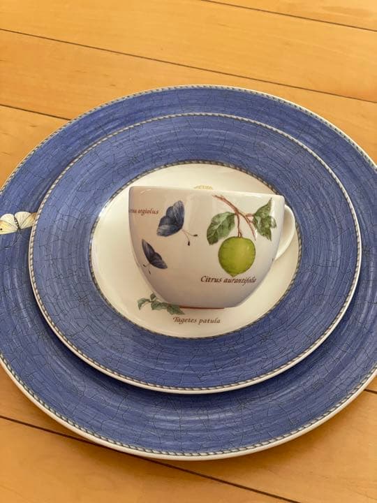 ウェッジウッド 27㎝ 21cmサラズガーデンプレート2枚、カップ1個