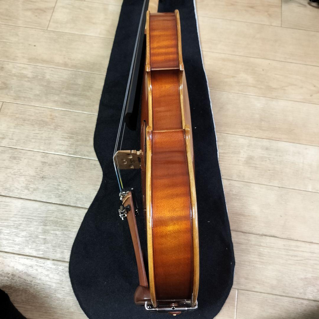 完全最終値下 ピグマリウス スタンダード 4/4 2020 イーストマンケース