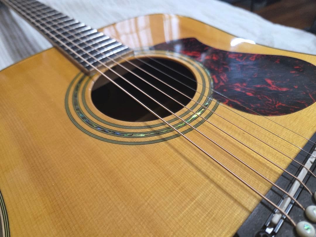 James J500L エレアコ ギター 島村楽器 セミハードケース付 美品