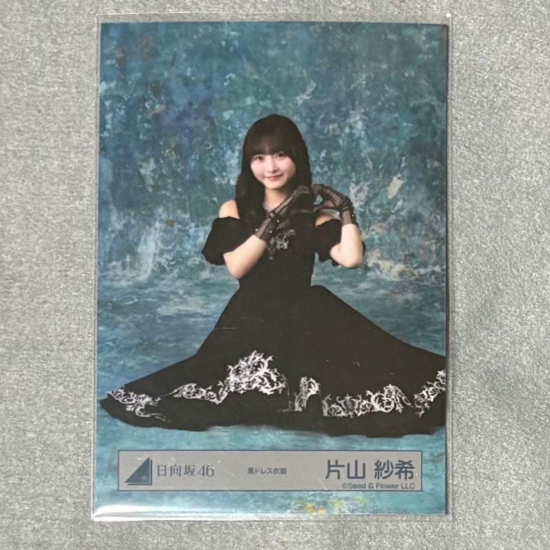 にく様 リクエスト 2点 まとめ商品 - メルカリ