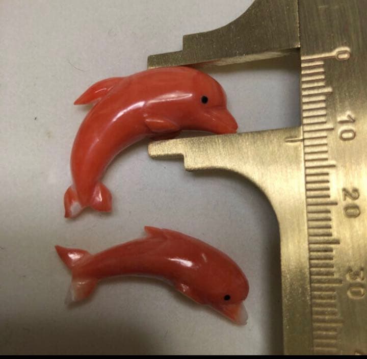 お値下げ❤️貴重)本珊瑚のドルフィン2個(裏表無し