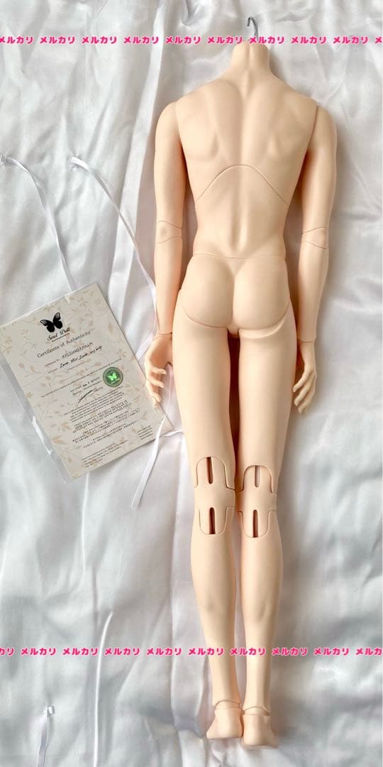 SoulDoll NEW Zenith boy body ノーマル肌
