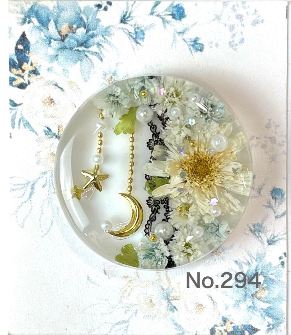 メル30077様 レジンヘアゴム ポニーフック ドライフラワー - メルカリ