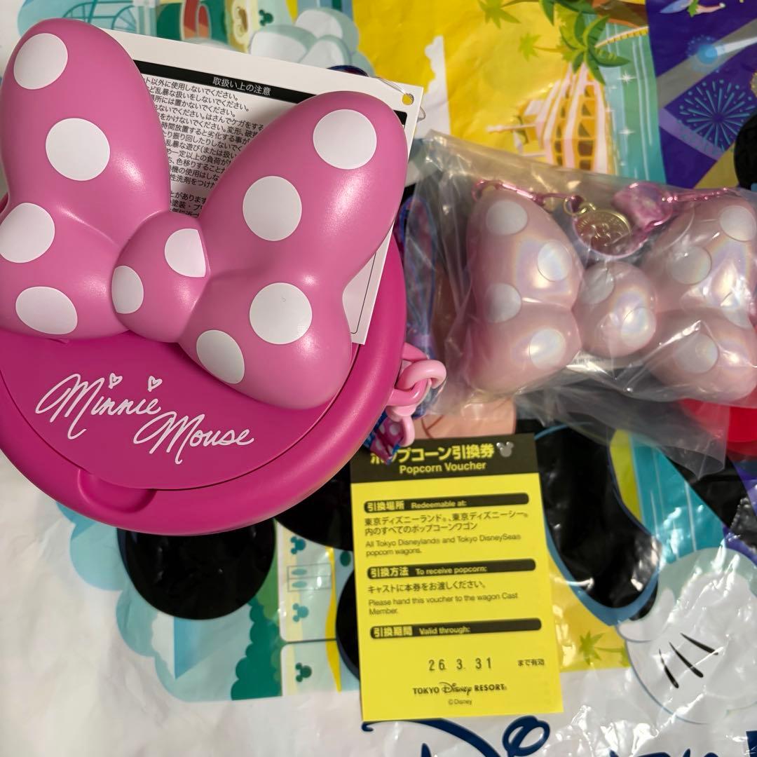 ディズニーランド ミニー パルパルーザ ポップコーンバケット スナックケース パルパルーザ ミニーファンダーランド ポップコーンバケット スナック