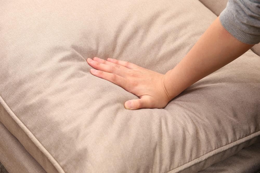 《新品・送料無料》ダブルクッション座椅子　フィット２　１Ｐ　ＢＥ