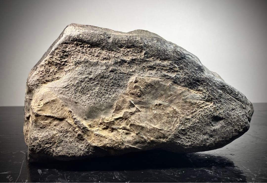 6514瀬田川石 ウブ 水石 盆栽 盆石 置物 鑑賞石 - メルカリ