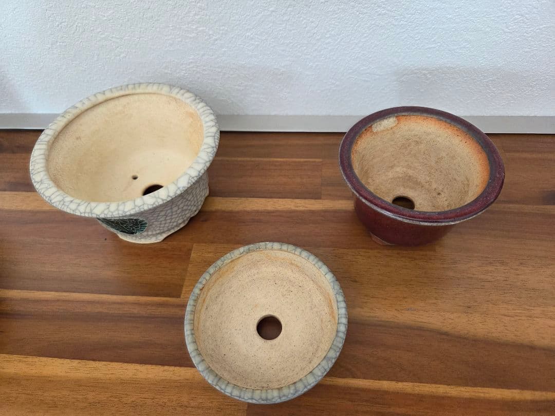 美巧 堀江美巧 盆栽鉢 鉢 盆栽 陶器鉢 5点セット