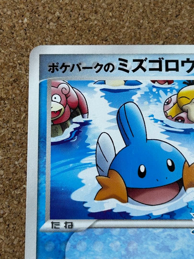 ポケパークのミズゴロウ 048/PCG-P プロモ スプラッシュアドベンチャー