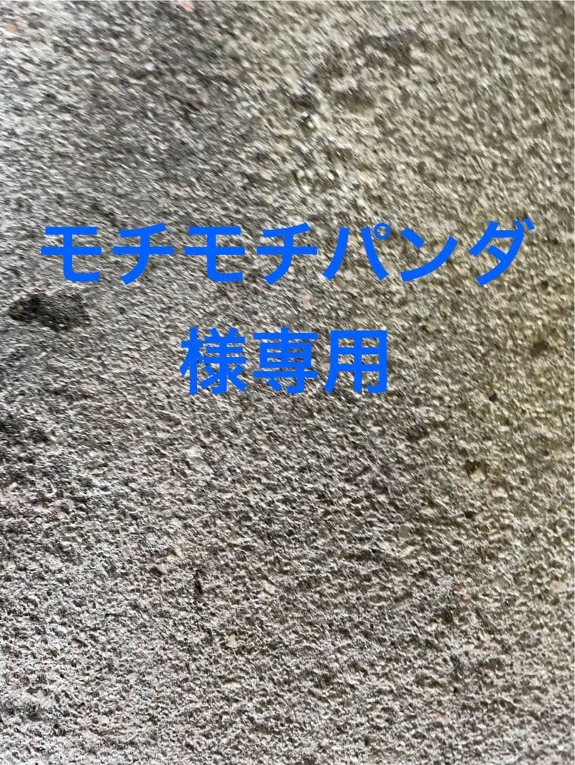 モチモチパンダ様 HIDランプ 専用 こんにちは🍀 最近、お出かけにパンダを連れております🐼💕 東京駅一番