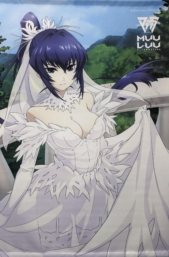 マブラヴオルタネイティヴゲーマーズBDBOX3&4巻特典御剣冥夜B2