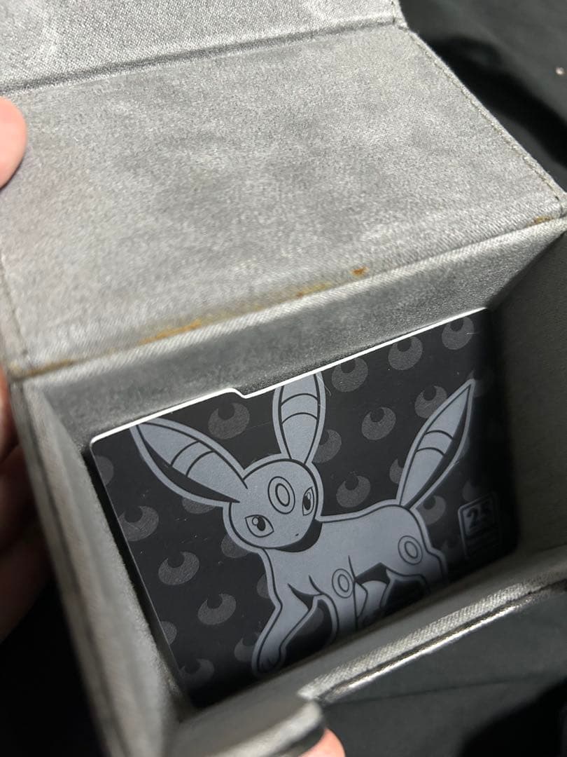 フリップデッキケース ブラッキー コレクションボックス 台湾 25th