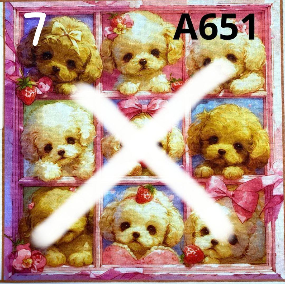 オーダー受付 クローゼット トイプードル ご予約ページ 5/7