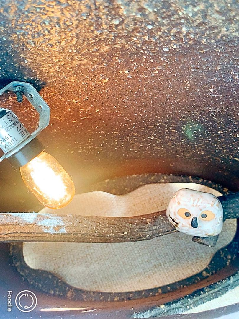 信楽焼《滋賀県》★ふくろう間接照明★《10月末まで¥1000引き》陶芸品