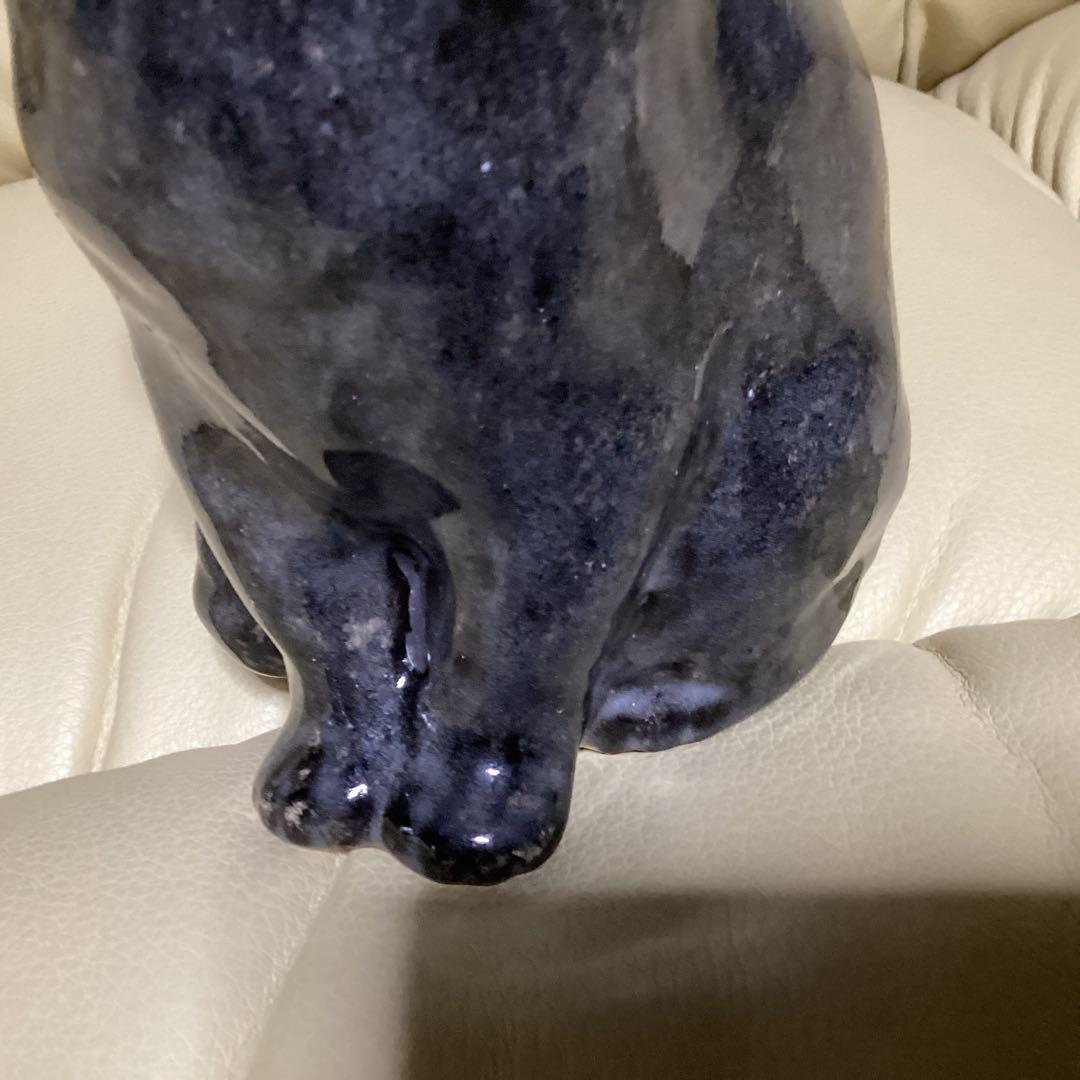 ウインスタンレイ女子のケンジントンキャットサイズ３の子