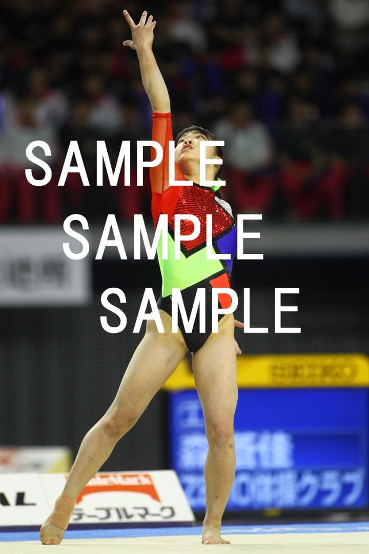 ☆9/15まで値引☆日本女子体操選手画像集(2019年) 約82,500枚 - blog