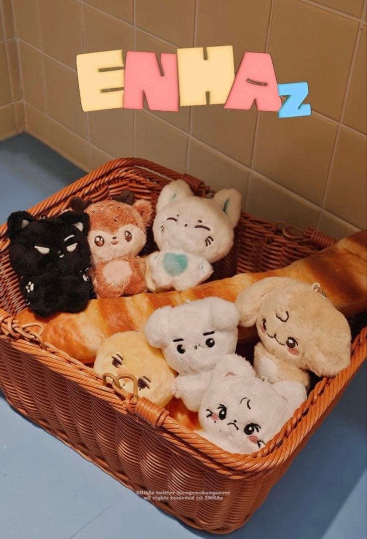 ENHYPEN ジョンウォン 10cmドール ぬいぐるみ - メルカリ