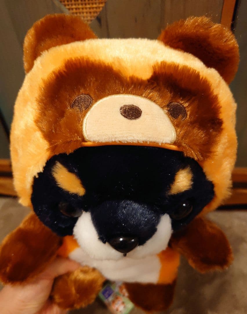 豆しば三兄弟 ぽてぐるみタヌキ 豆ジロー JB - メルカリ