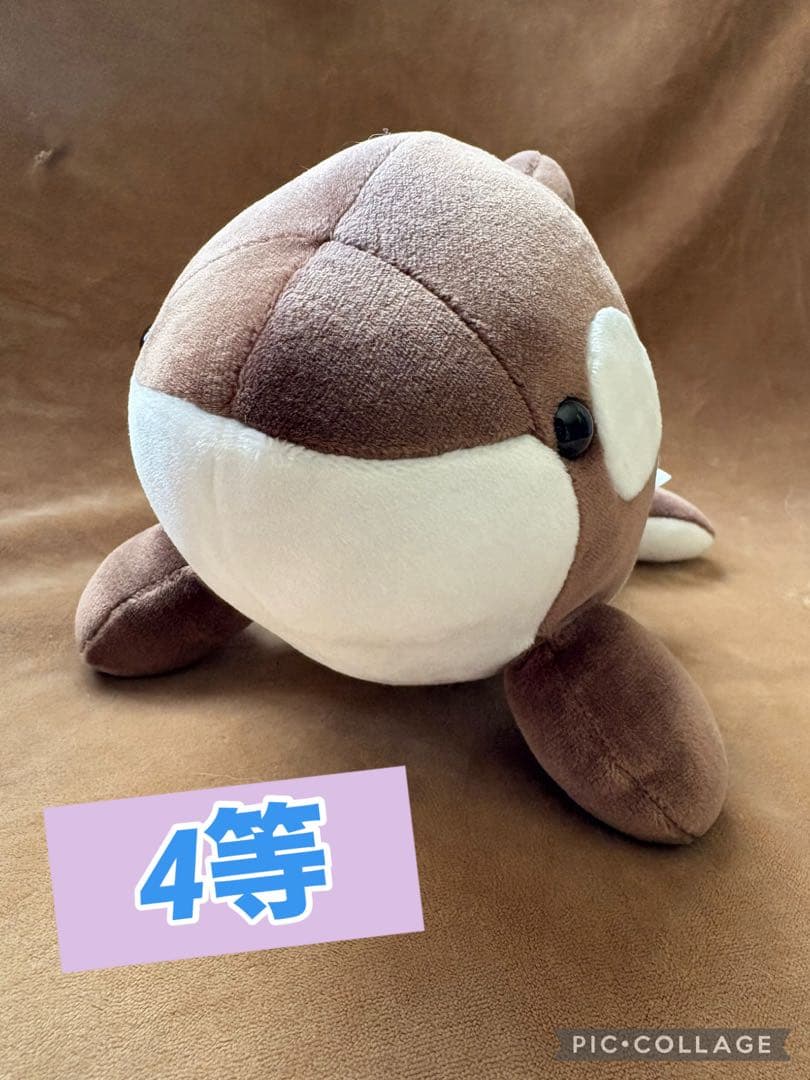 新登場！神戸須磨シーワールド シャチ オルカくじ バレンタイン限定