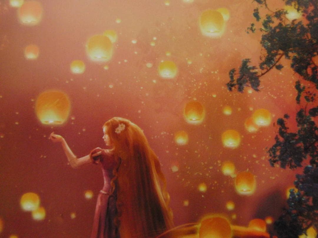 ステファン・マーチンエアー、【Alight】、希少な額装用画集より、状態良好