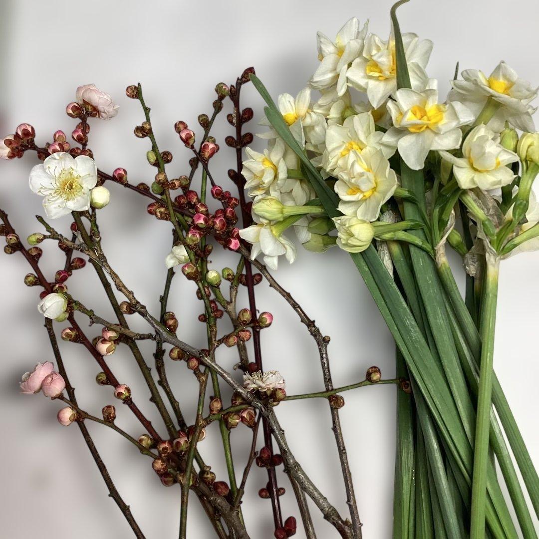 28水仙 梅の枝 アレンジメントフラワーセット - メルカリ