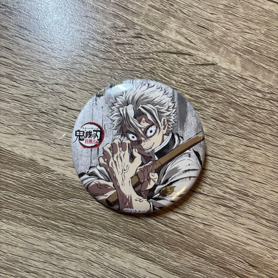 鬼滅の刃 幕間画ランダム缶バッジ 肆 不死川実弥 不死川玄弥 2点セット