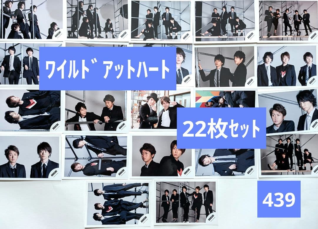 バラ対応可【22枚セット】嵐 公式写真(439) ワイルドアットハート①