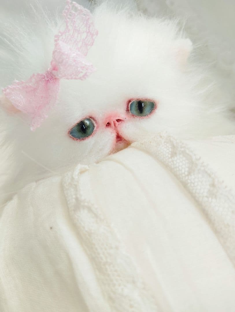 まなあきちゃん御予約❤️生後3ヶ月♡天使みたいな♡子猫ちゃん♡アートドール♡