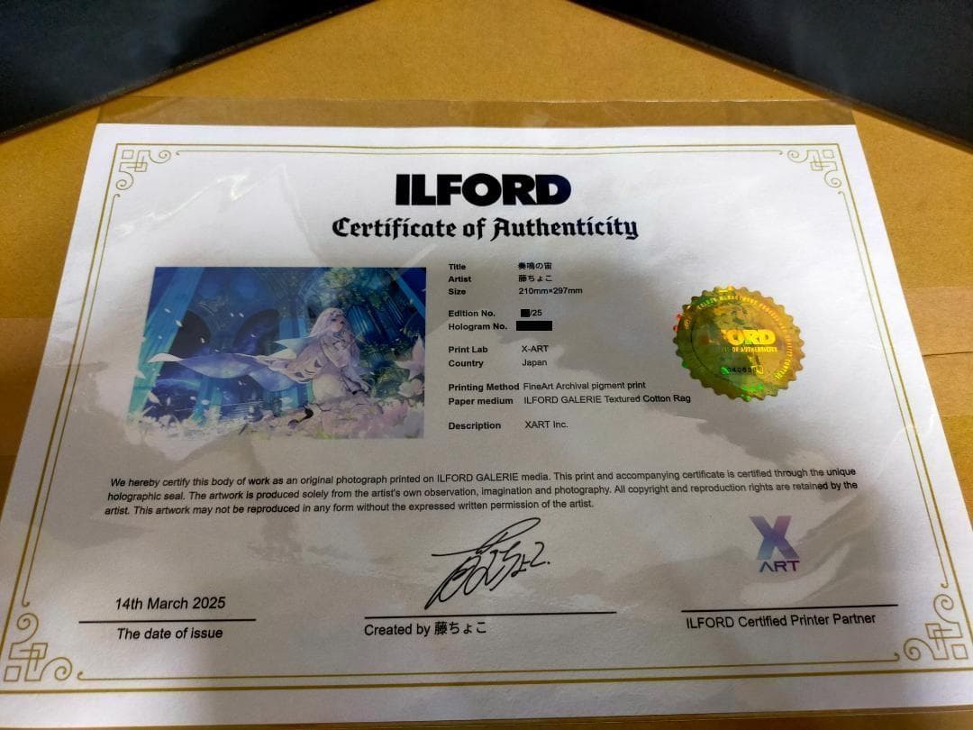 X-ART 藤ちょこ 直筆サイン入りBook 奏鳴の宙 光る美少女展5 - メルカリ