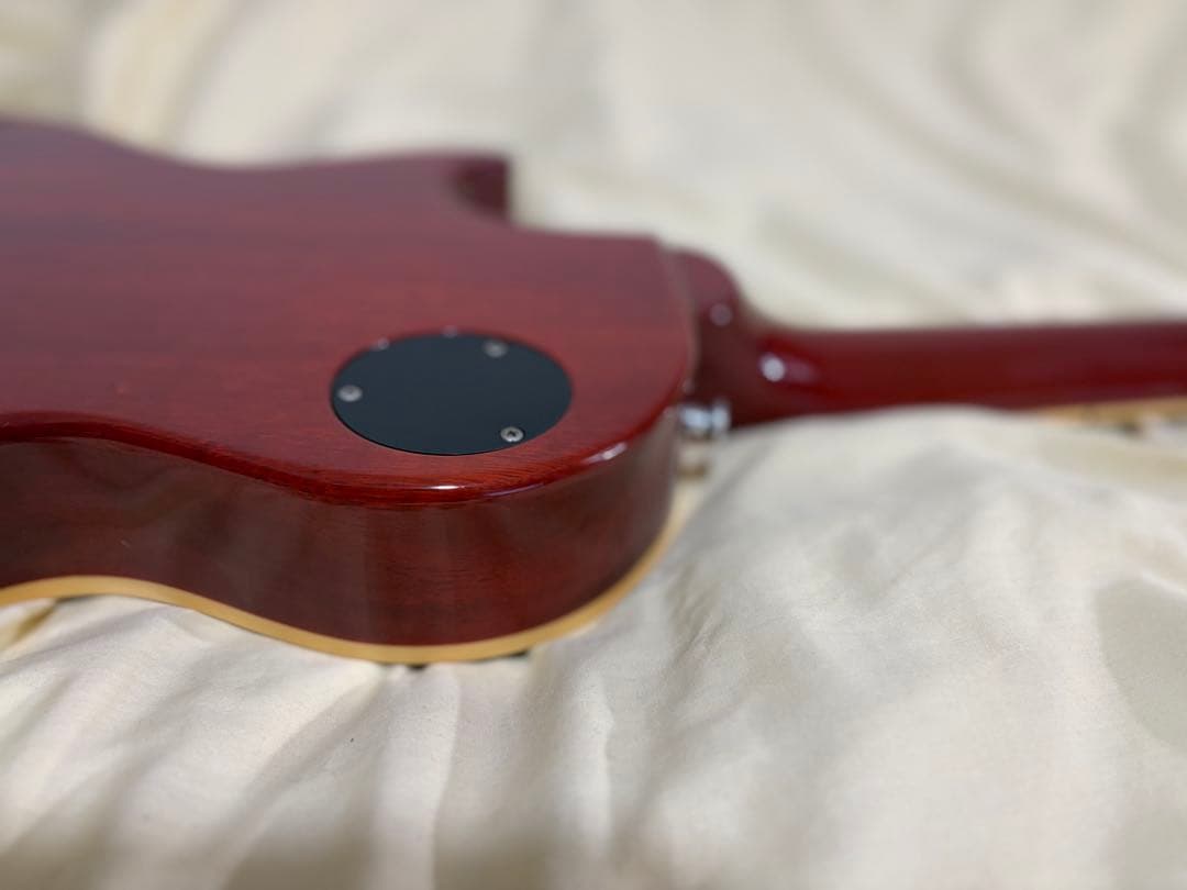 Fernandes burny RLG-90 VH-1 hardcase - メルカリ