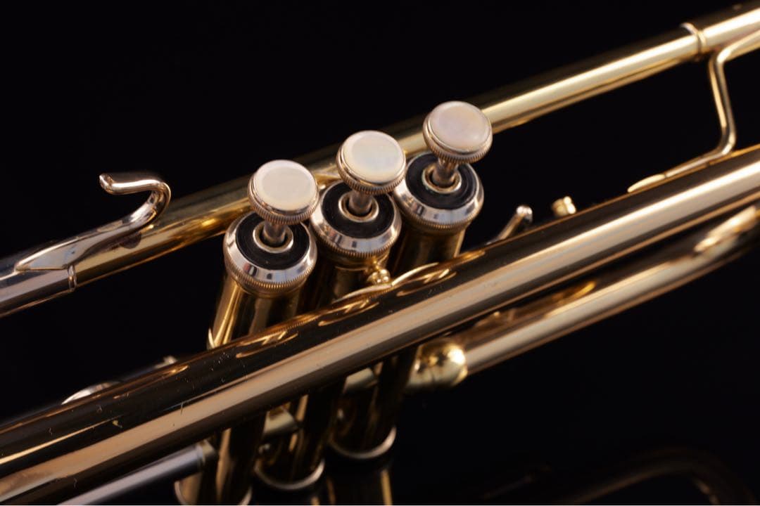 選定品 メンテナンス済】 HOLTON T101 GB トランペット ホルトン