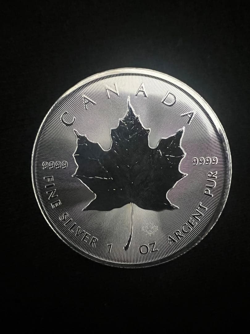 メイプルリーフhiroさん専用10枚① - メルカリ