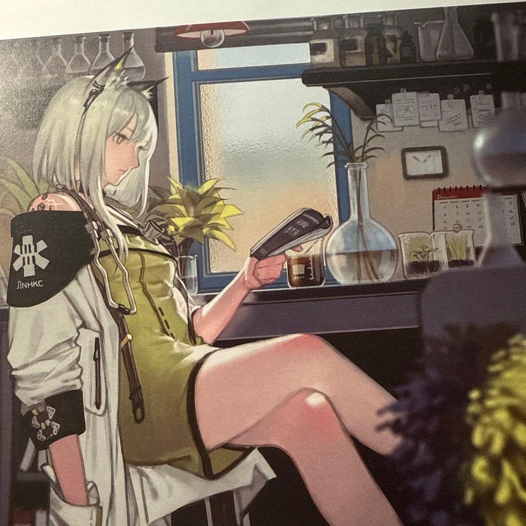 アークナイツ 大陸限定 画集第一弾 ケルシー チェン ホシグマ - メルカリ