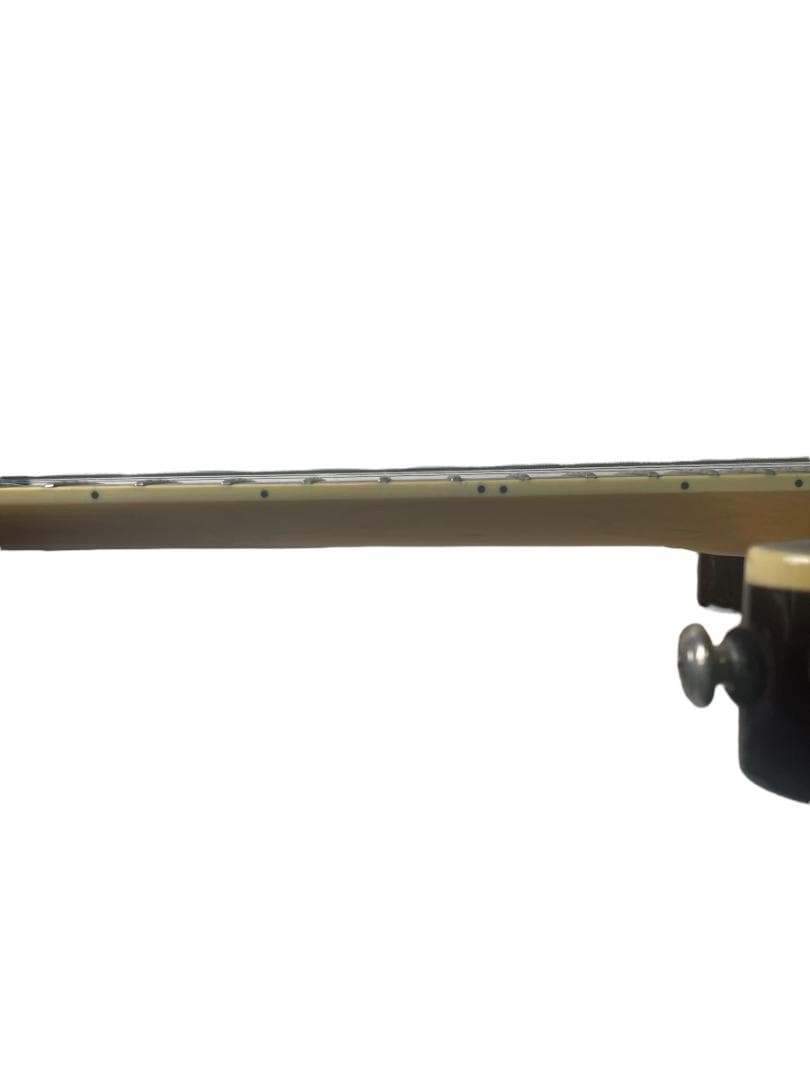 シェクター　OMEN EXTREME -6　SCHECTER (SGR-1C)