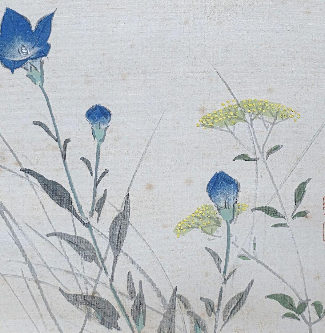 秋草(桔梗に虫)図】今井景樹 2715 掛け軸 共箱 肉筆 秋掛け