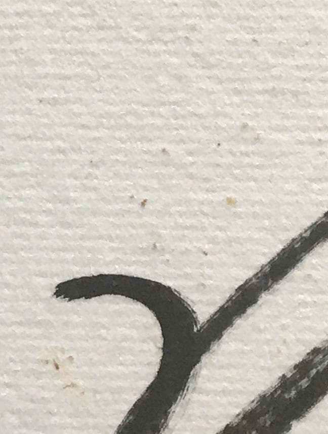 ☆ZARD 坂井泉水さん 歌手デビュー前 直筆「色紙」 - メルカリ