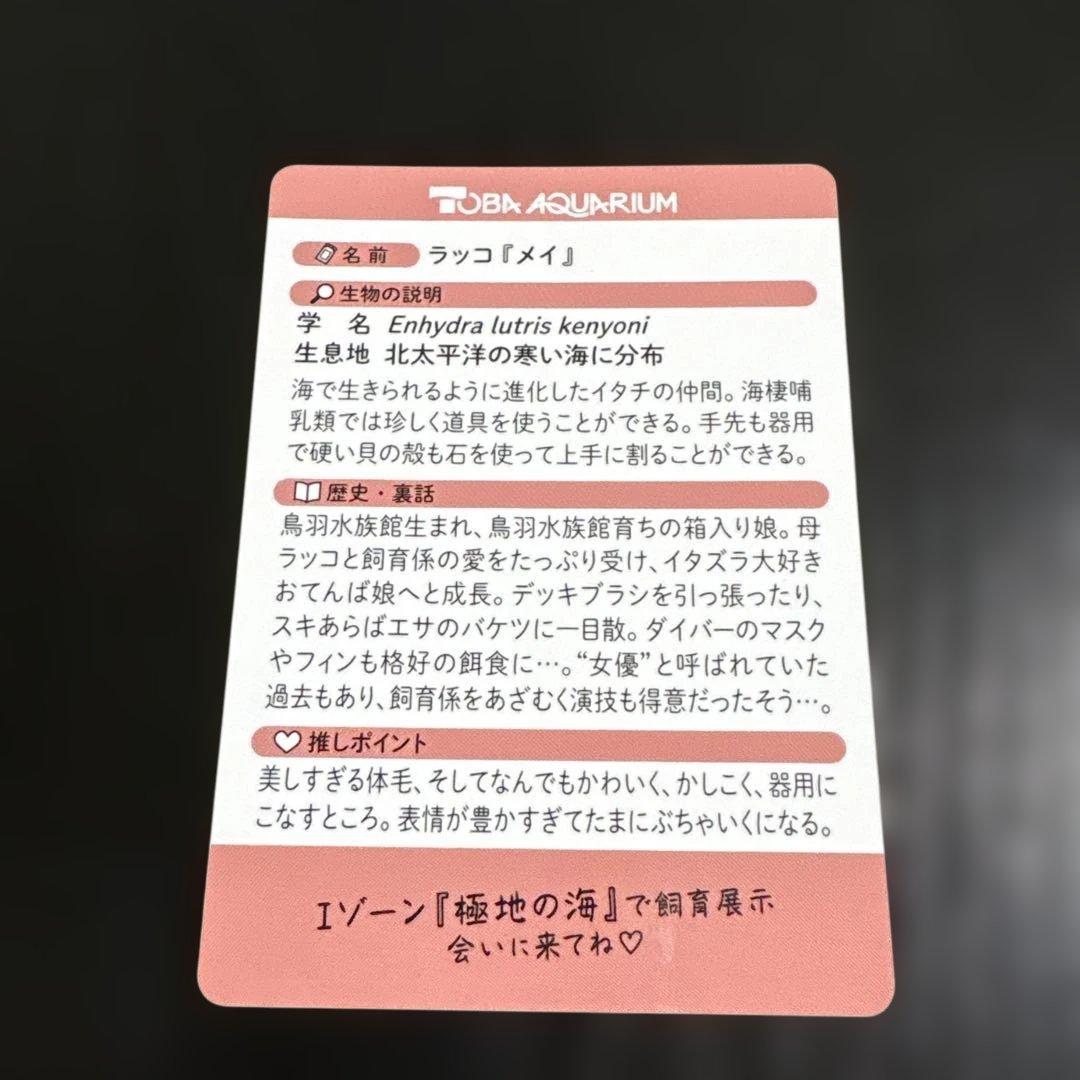 70周年 鳥羽水族館 ラッコ メイちゃん トレーディングカード - メルカリ