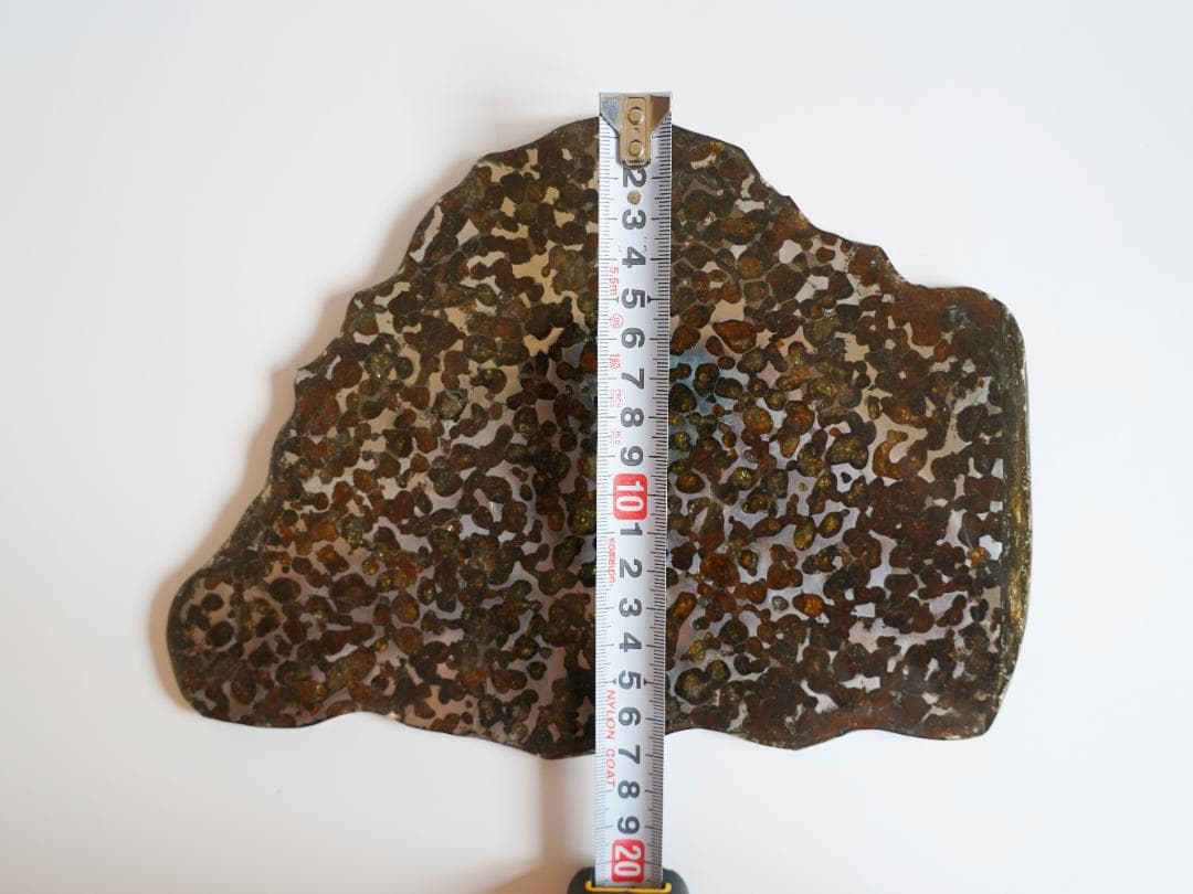 【超レア・BIGサイズ】セリコ パラサイト隕石 高透光 高品質 345.7g