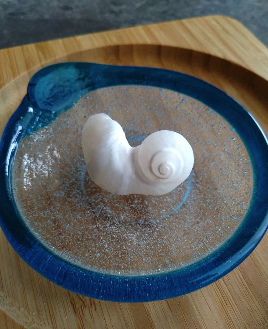 【希少】優美なお姿☆ ケオン パワーストーン 原石 イシカブラ 貝殻 標本 巻貝