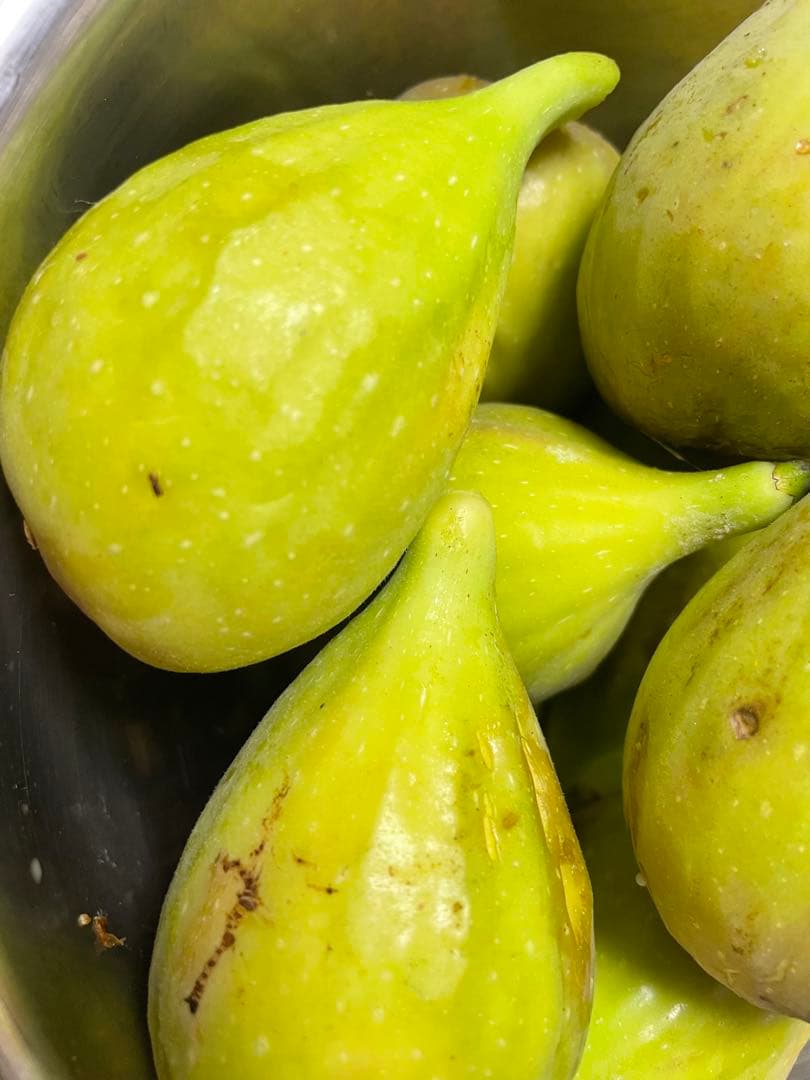 イチジク 穂木 3種各2本 - メルカリ