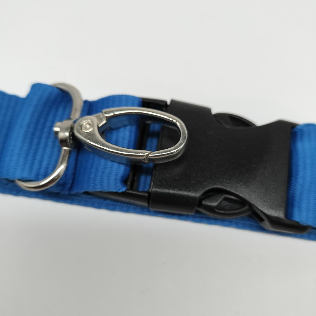 激レア 2010 南アフリカ W杯 FIFA×SONY 非売品 ネックストラップ