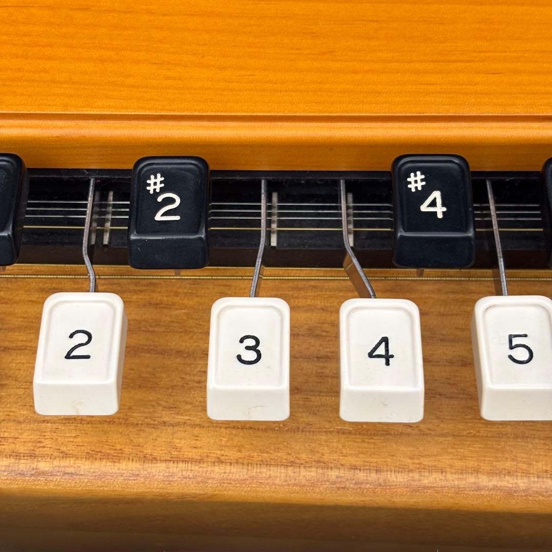 希少 全音 電気大正琴 彩 いろどり 付属品 ハードケース 音出し確認