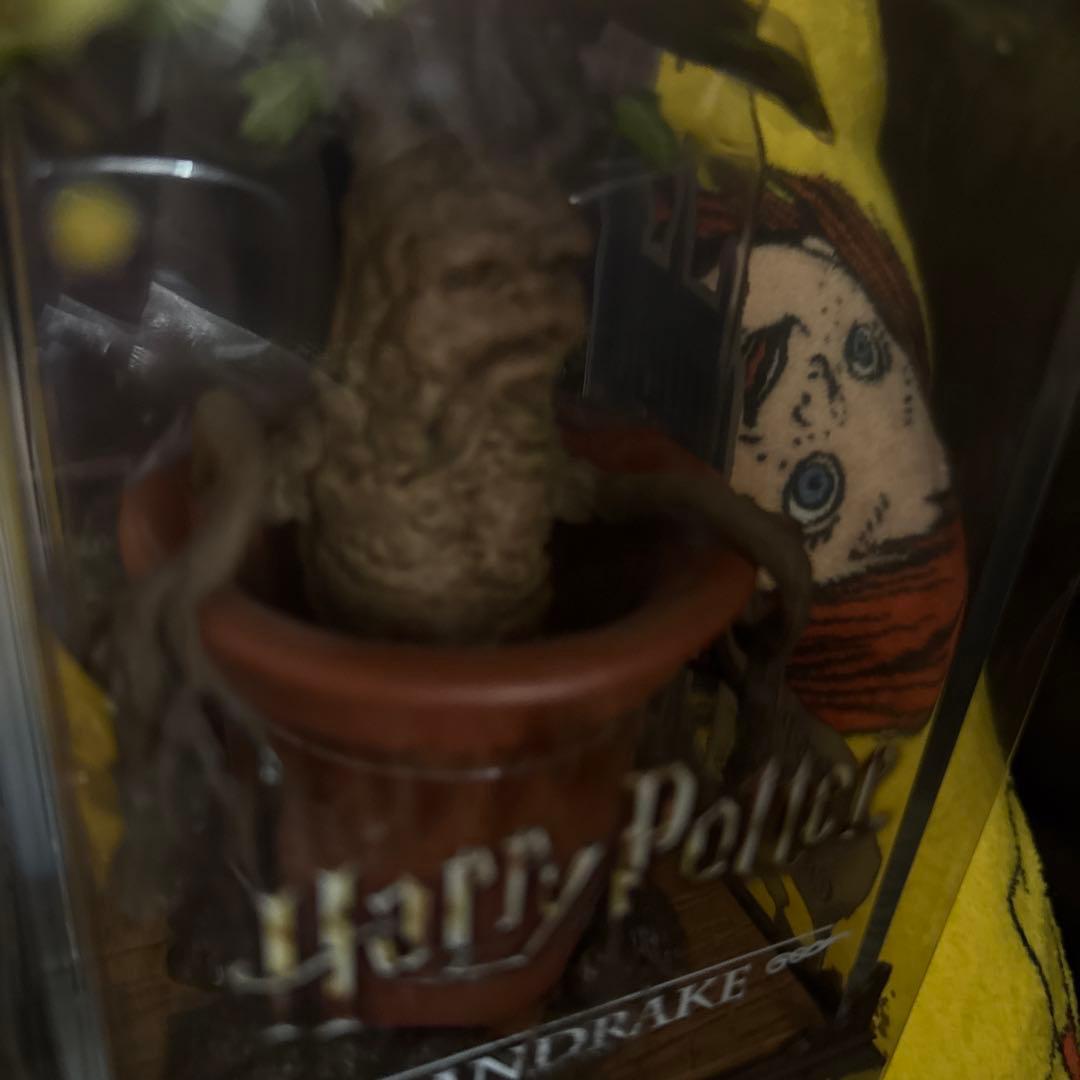 日本未販売 ハリーポッター マンドレイク ノーブルコレクション 新品
