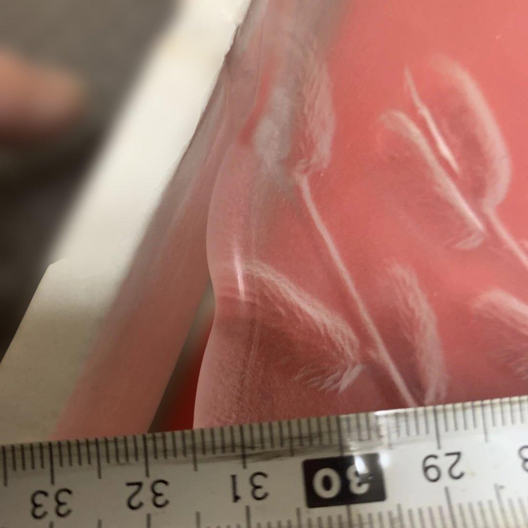 HOYAクリスタルセット大皿4枚 コップ6x2 HOYAクリスタルフアン必見